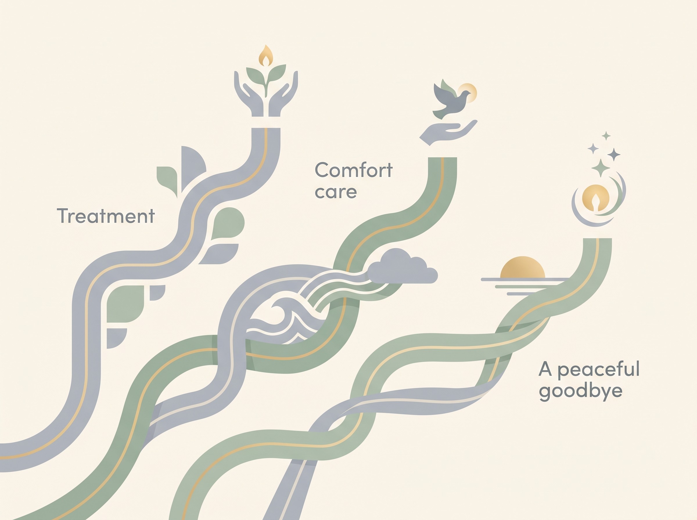 Three gentle, branching paths after a terminal diagnosis: treatment aimed at the disease, palliative and comfort care, and a peaceful planned goodbye when the time comes; the paths overlap and run alongside each other rather than ranking from most to least caring