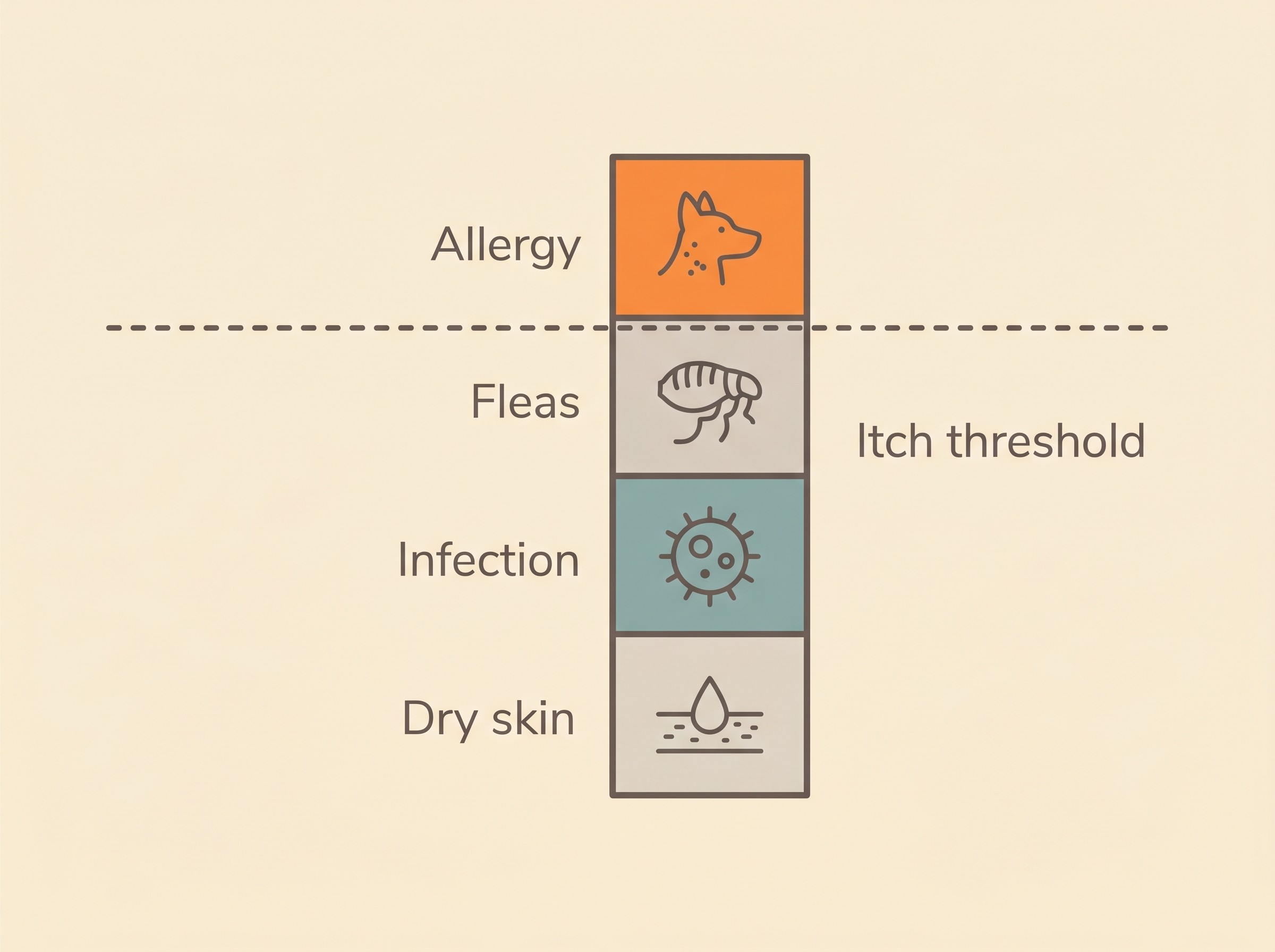 Stacked bars of allergy, fleas, infection and dry skin rising past a dashed itch-threshold line