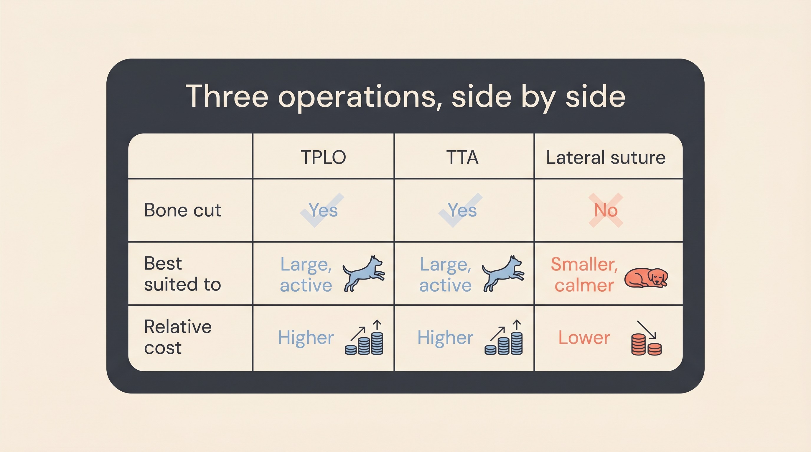 A flat-vector comparison-table card on cream titled "Three operations, side by side", with three columns headed "TPLO", "TTA" and "Lateral suture" and rows for invasiveness, best-suited dog size and activity, and relative cost, drawn in soft charcoal with blue and coral accents