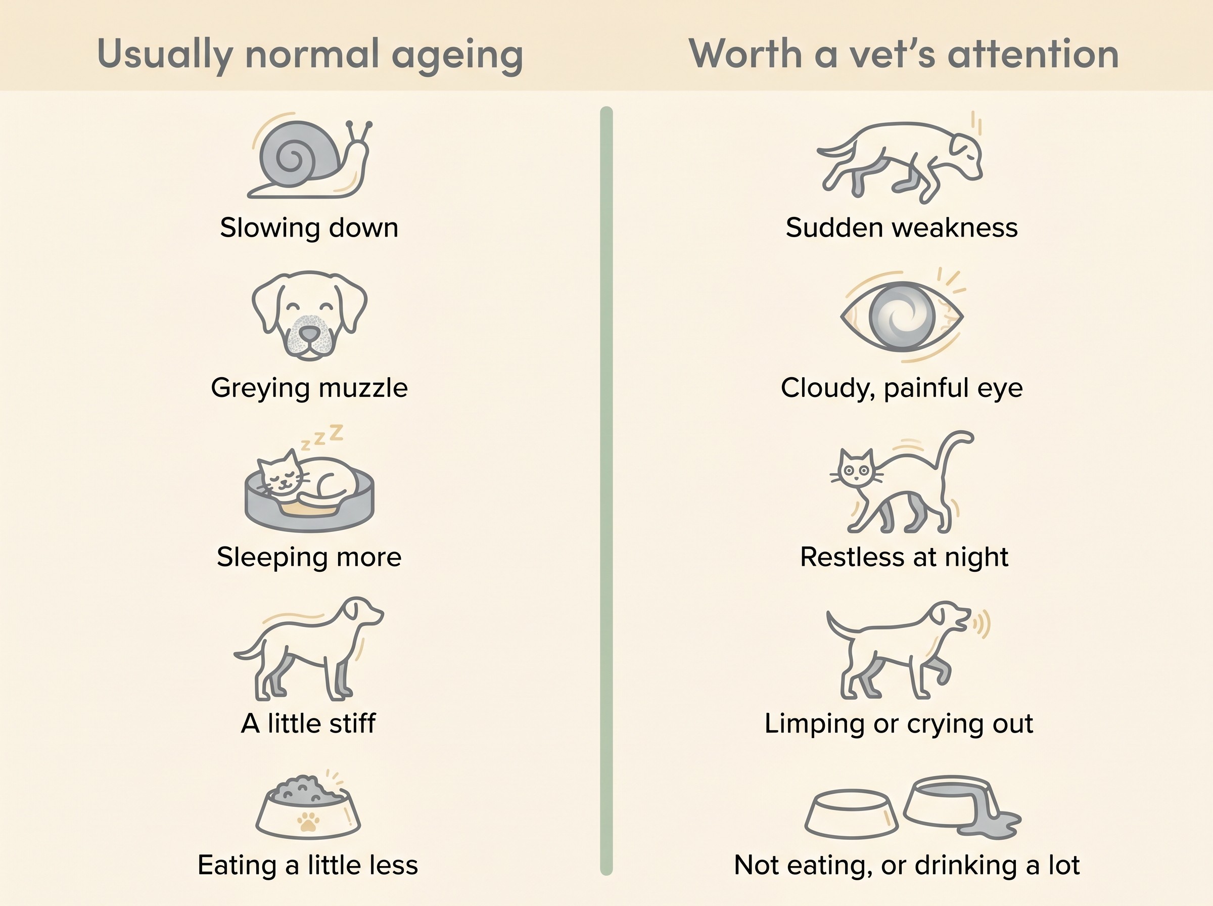 Two gentle columns comparing signs that are usually normal ageing with signs that deserve a vet's attention in a senior dog or cat