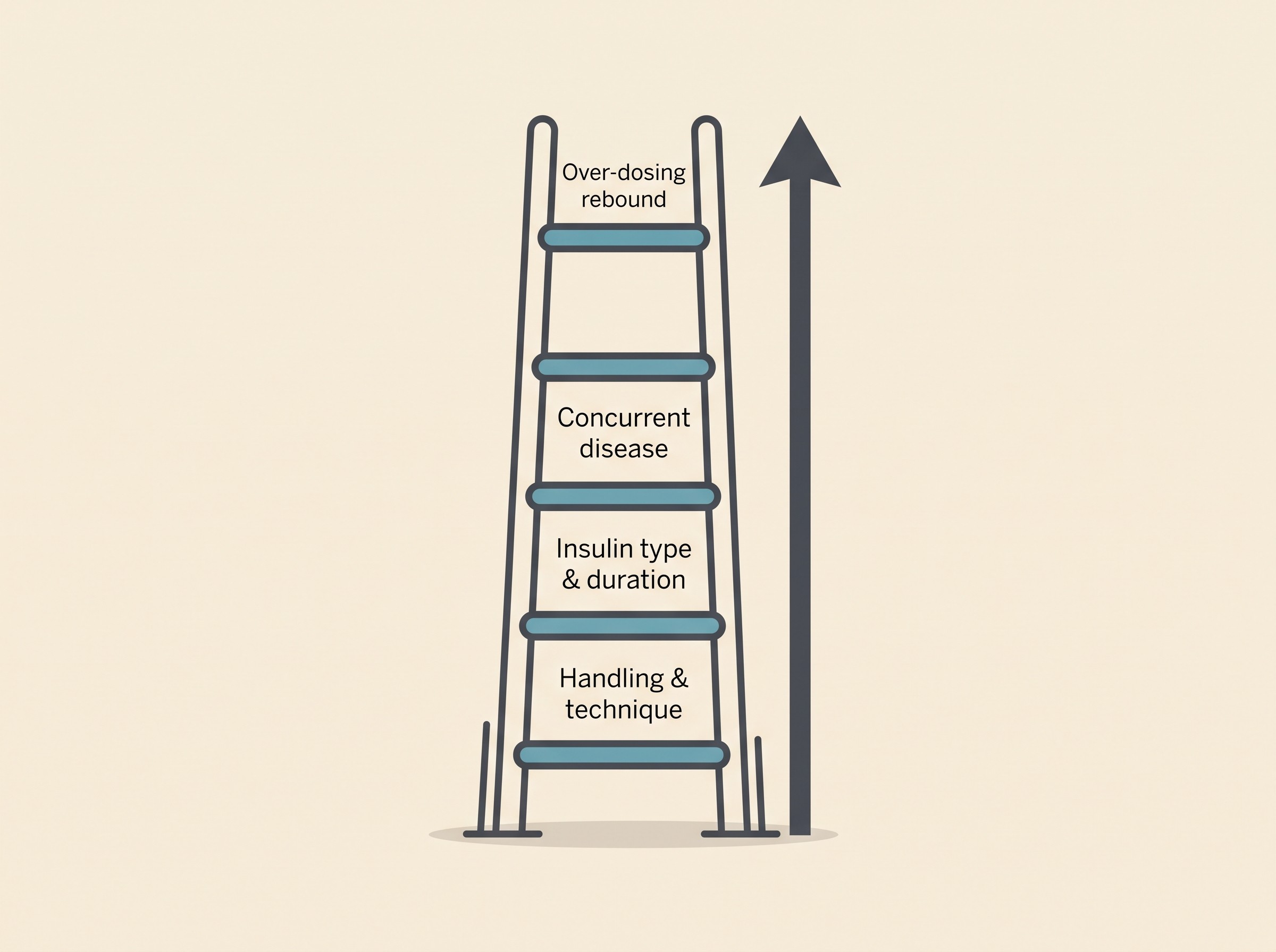 A four-rung ladder on cream, from the bottom up: Handling and technique, Insulin type and duration, Concurrent disease, Over-dosing rebound, with an upward arrow alongside
