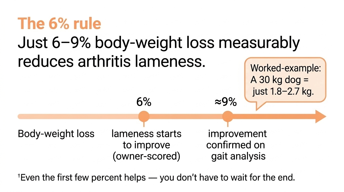 An infographic titled The 6% rule showing that a 6 to 9 percent body-weight loss produces measurable improvement in lameness, with a simple before-and-after bar comparison