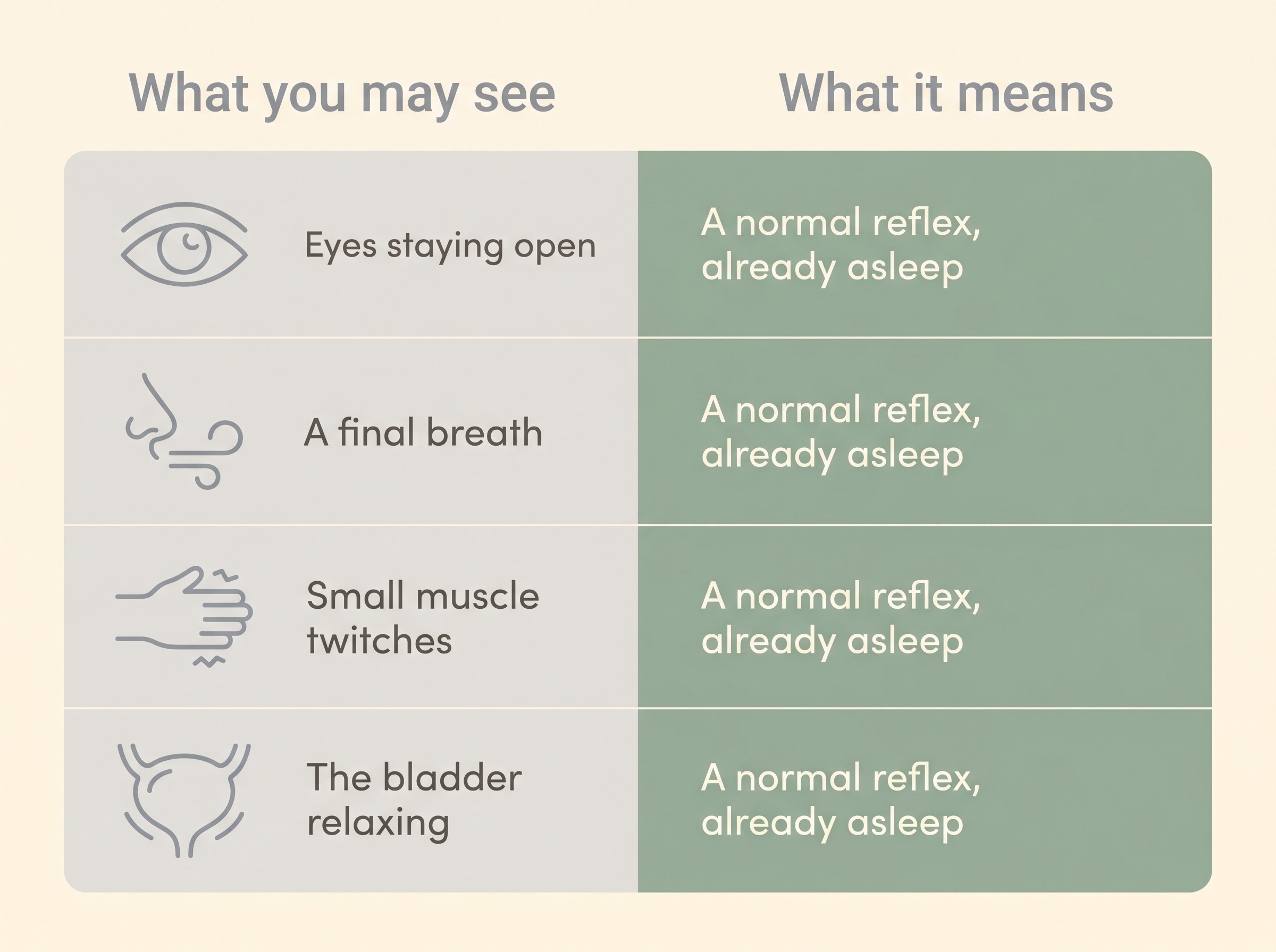 A gentle two-column reassurance card on cream pairing each thing an owner may see at the end with its plain explanation: eyes staying open, a final reflex gasp, small muscle twitches, the bladder relaxing, each labelled as a normal after-death reflex in an already-sleeping body and not a sign of suffering