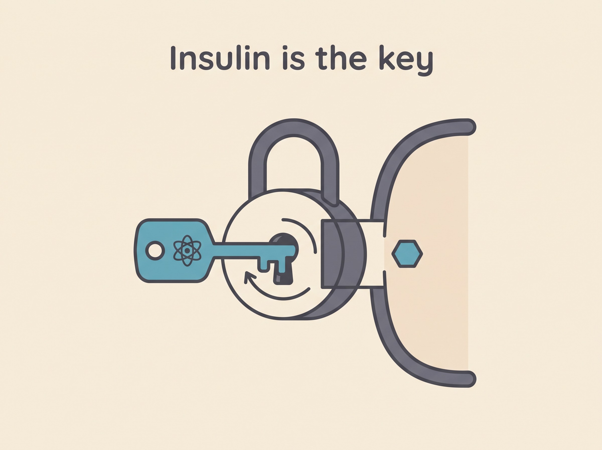 A simple key-and-lock diagram: insulin as the key opening the cell door to let glucose in