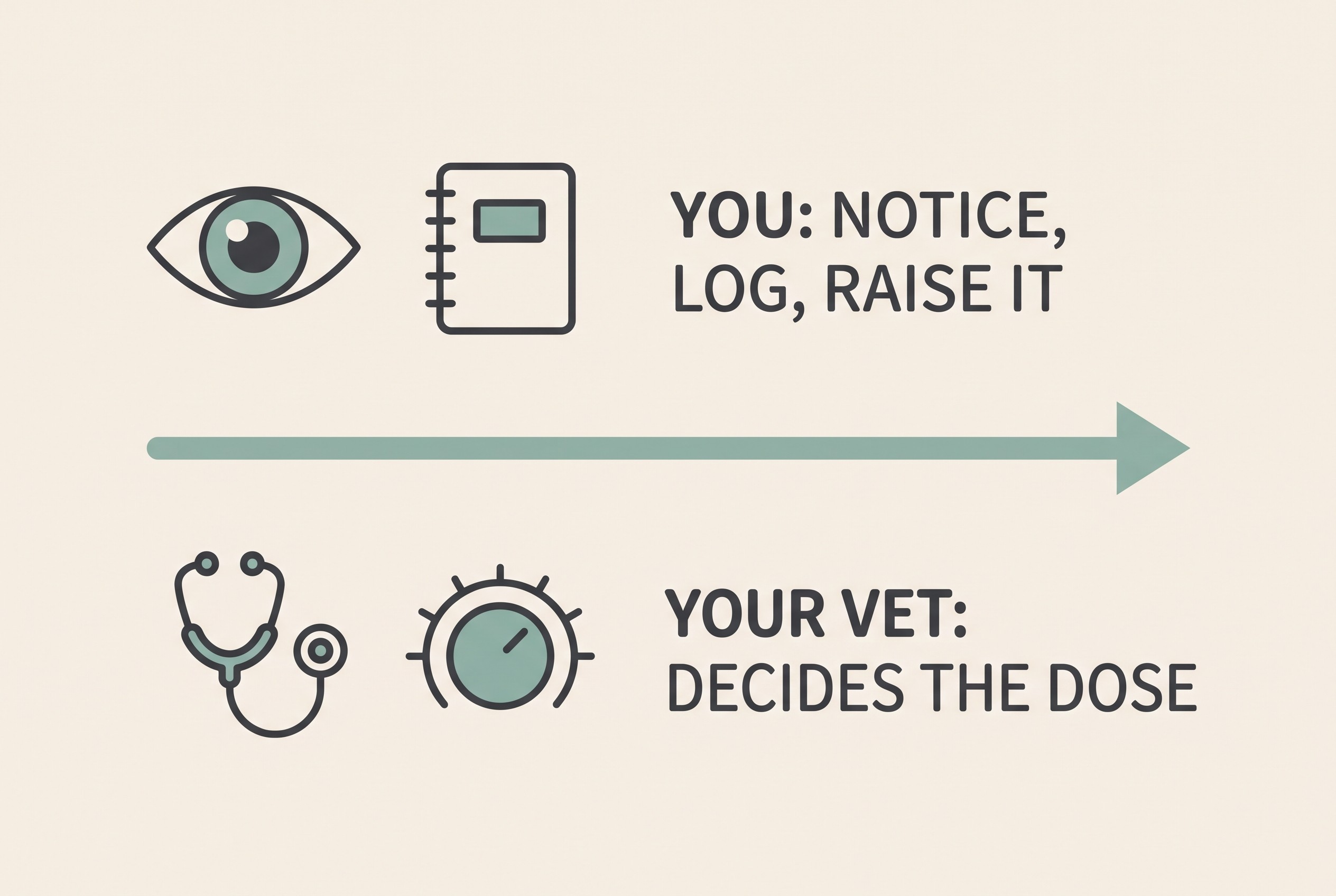A simple two-lane card on cream: one lane labelled "YOU: NOTICE, LOG, RAISE IT" with an eye and notebook icon, the other "YOUR VET: DECIDES THE DOSE" with a stethoscope and adjustment-dial icon, joined by a sage-teal arrow.