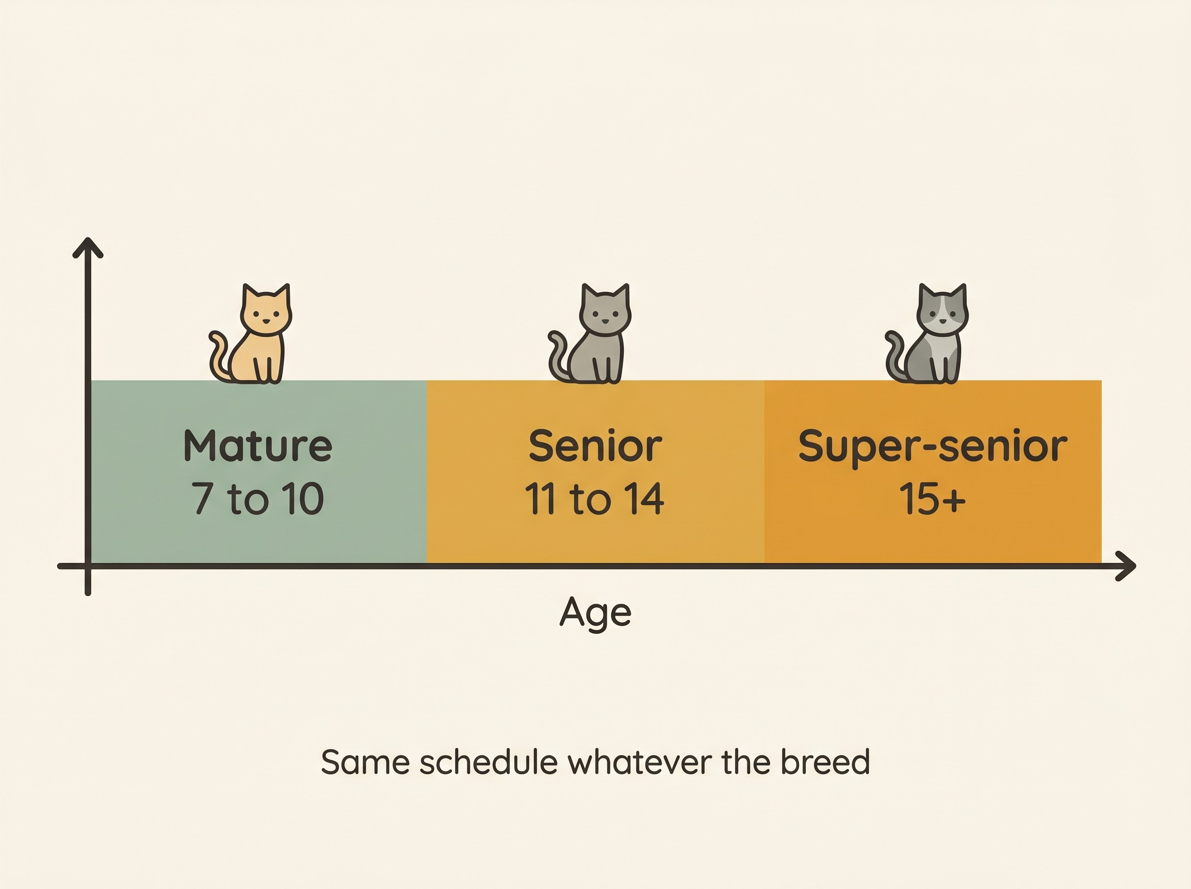 Illustrated horizontal timeline of a cat's later life along an age axis, with three coloured bands marked clearly: "Mature 7 to 10", "Senior 11 to 14" and "Super-senior 15+", and a small note that cats reach these stages on a similar schedule regardless of breed or size.