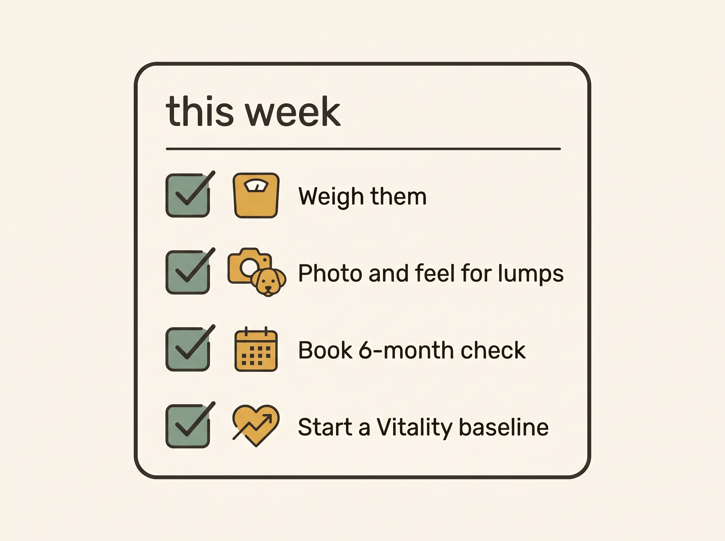 A simple "today" checklist card for a newly senior dog: weigh them and note it, photograph the muzzle and run hands over the body for lumps, book the six-monthly senior check, and start a Vitality baseline.