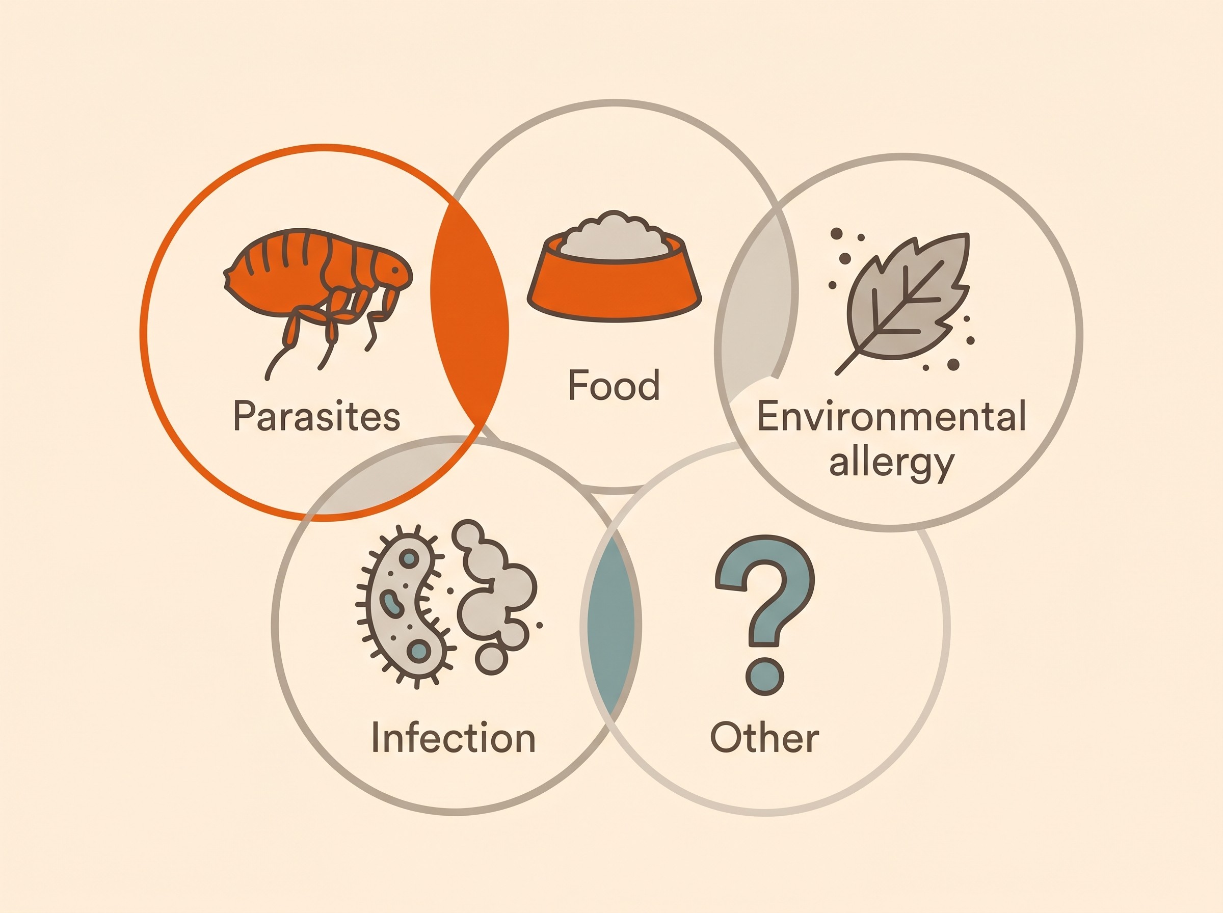 The five causes of an itchy pet shown as overlapping icons on a cream background