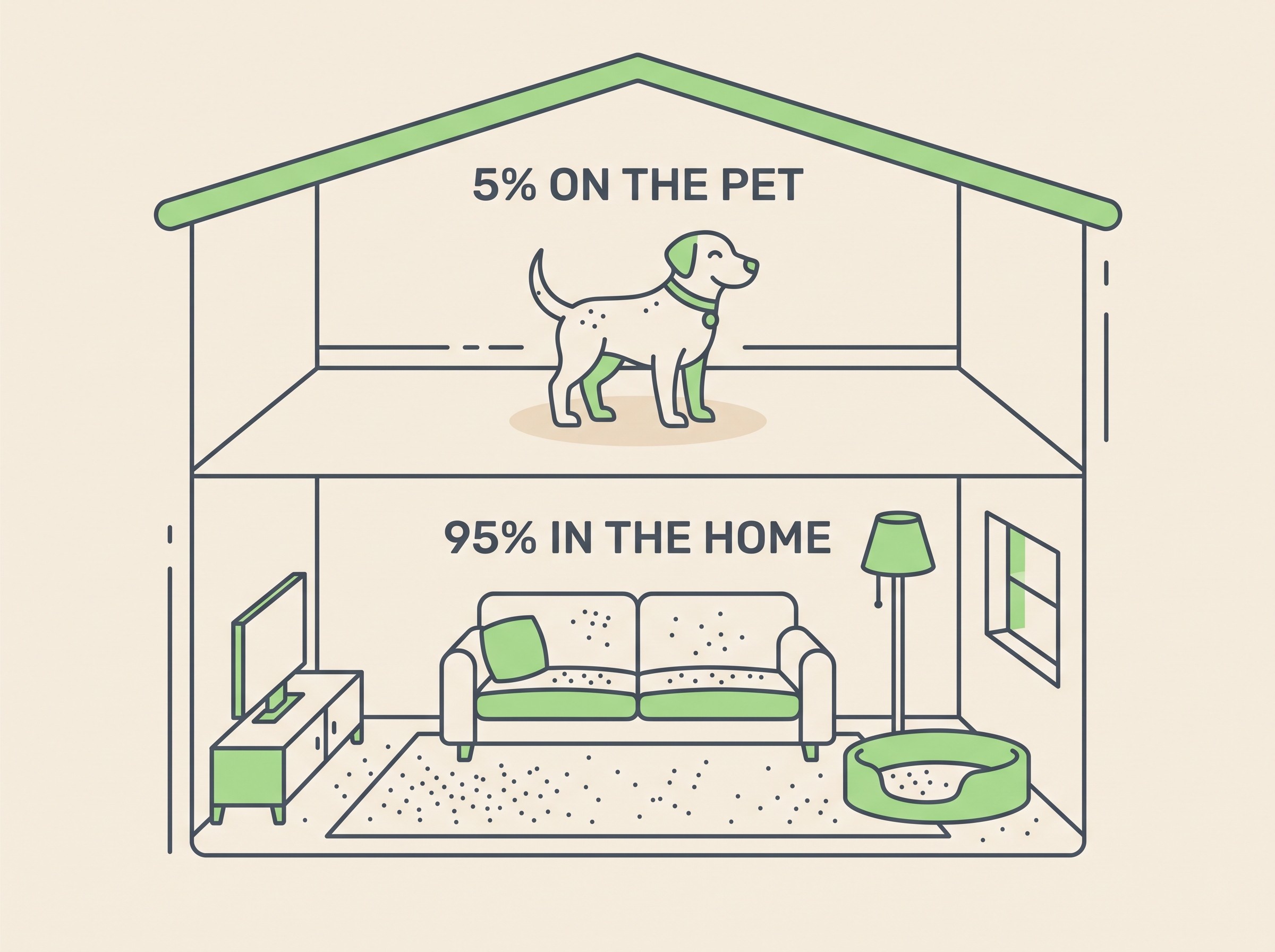 A clear flat-vector diagram showing that only a small share of fleas live on the pet while the large majority live in the home as eggs, larvae and pupae in carpets and bedding, on a cream background.