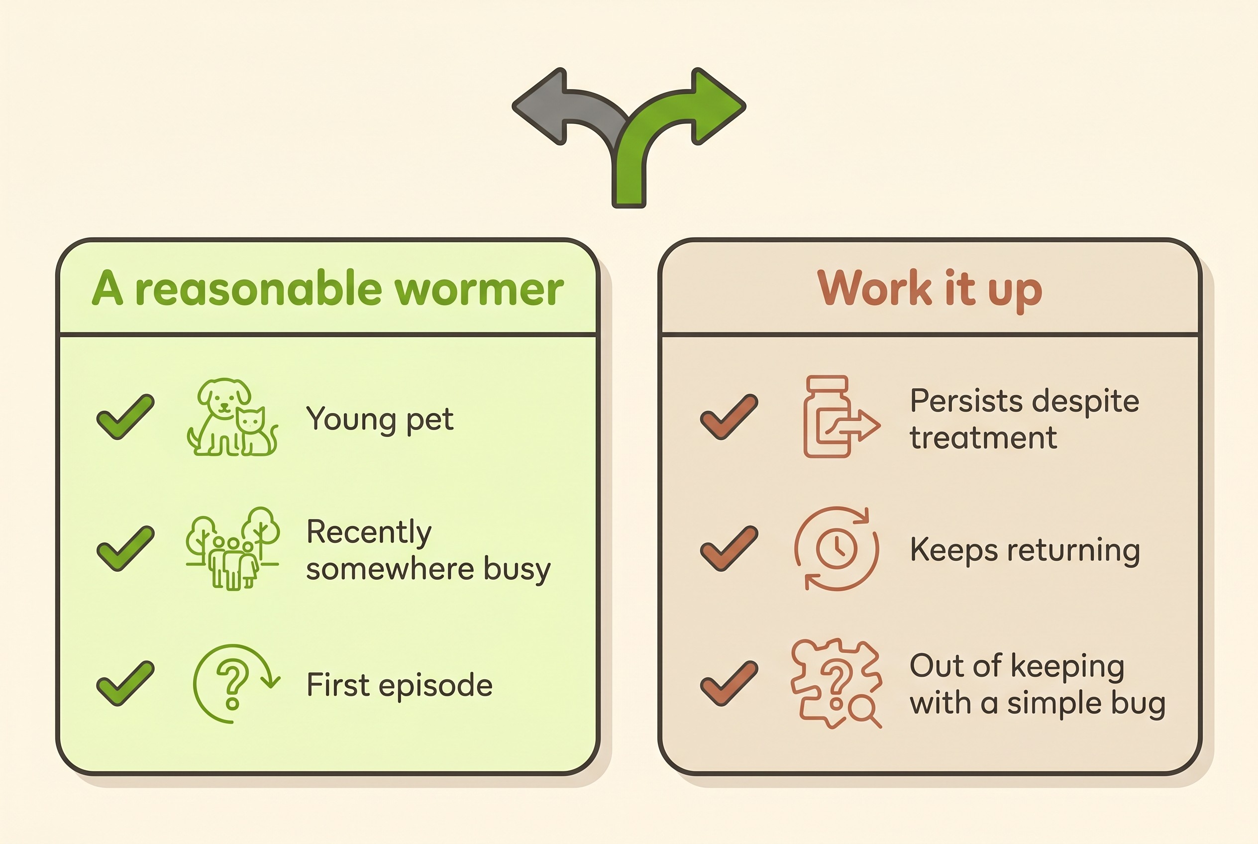 Flat decision card on cream with two routes: "A reasonable wormer" for a young or recently exposed pet, and "Work it up" for diarrhoea that persists or keeps returning